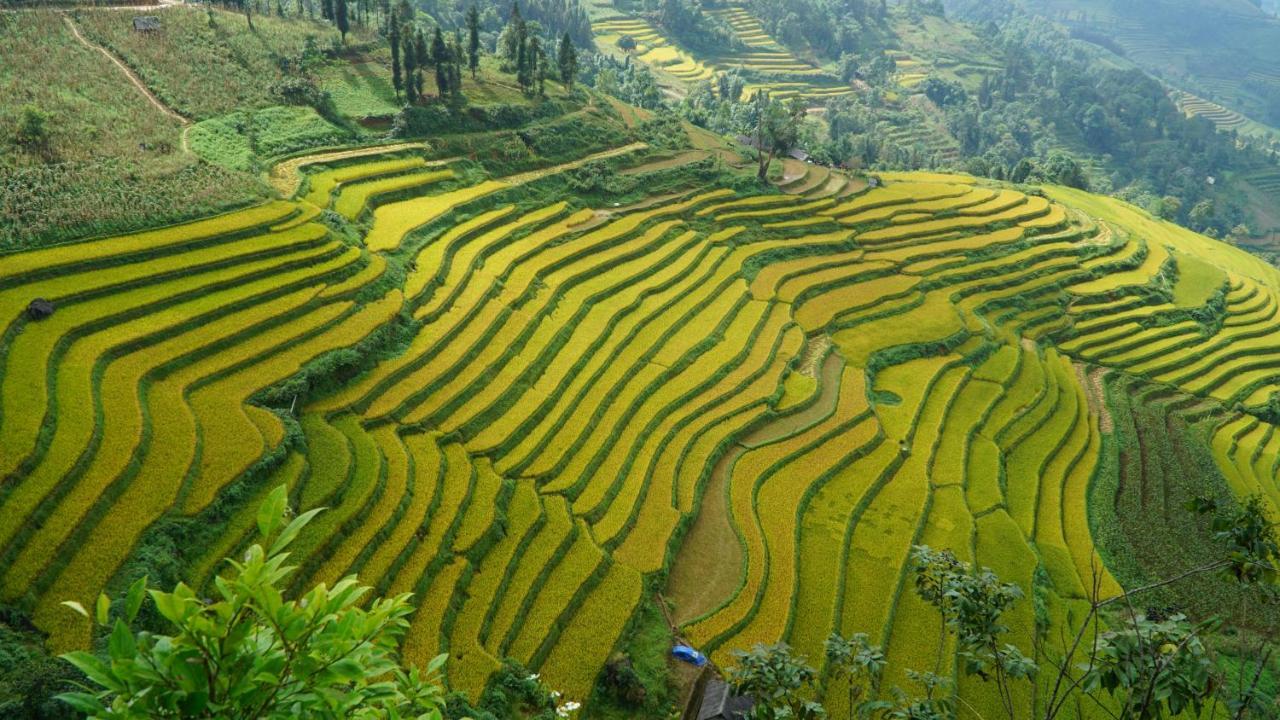 Huy Trung Homestay Bac Ha  Esterno foto